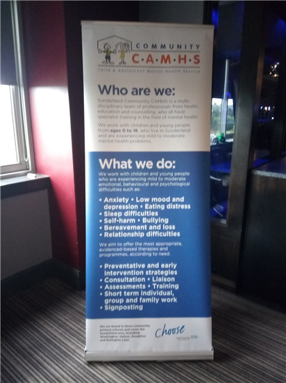 CAMHS Workshop